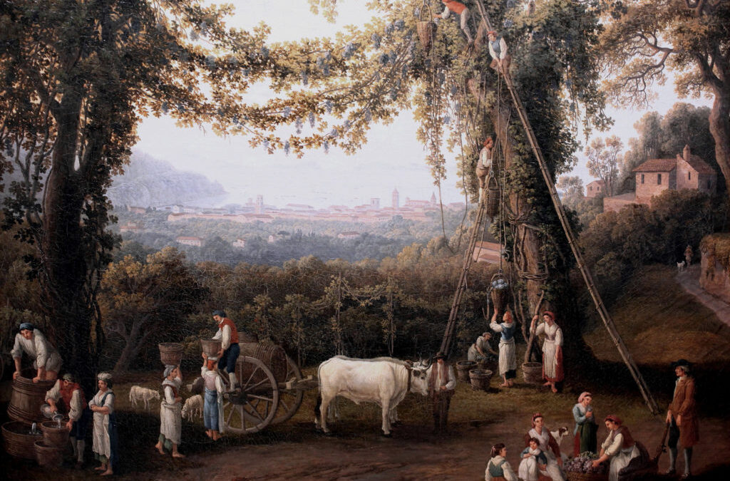 LA STORIA DELLA DAMIGIANA ROTTA
