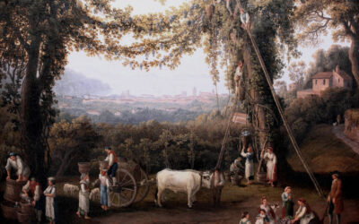 LA STORIA DELLA DAMIGIANA ROTTA