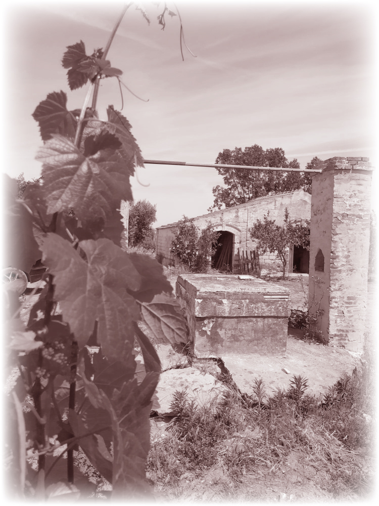 TENUTA